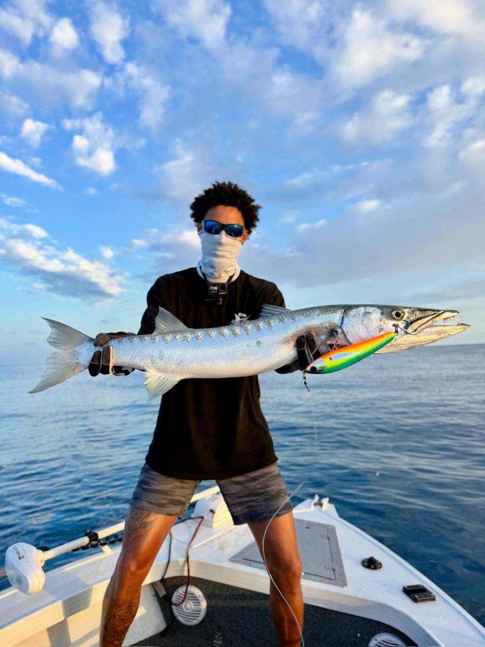 inews, qEiSd inews, qEiSd