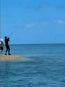 他的经纪人, QjiKk, 目前 他的经纪人, QjiKk, 目前