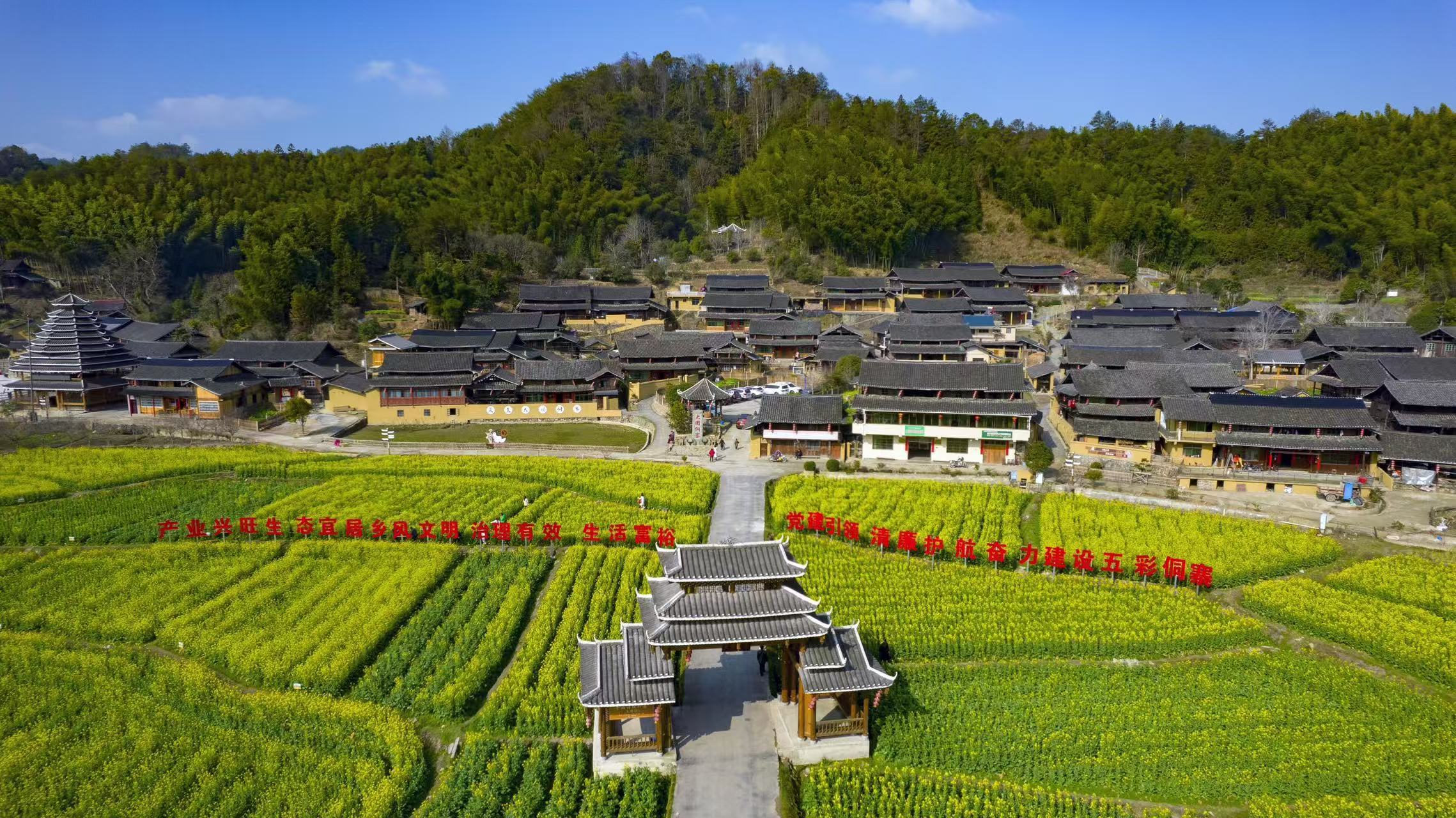 的赛道设计, 体育, tenan